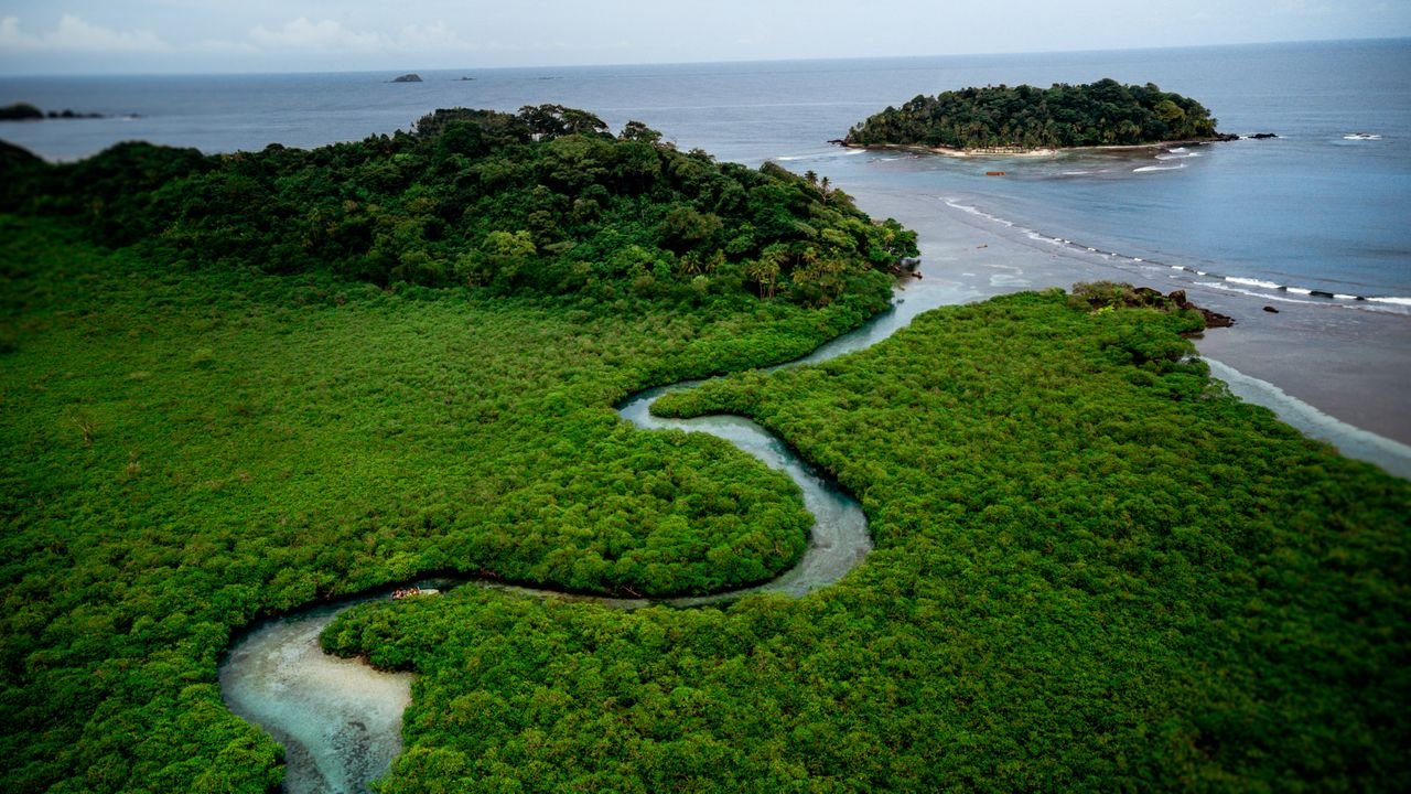 Experience the lush greenery and pristine shores of Isla Mamey from a stunning aerial perspective.