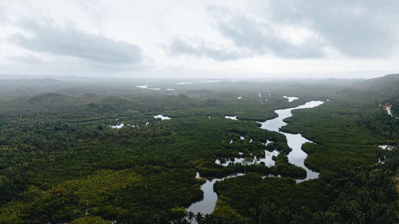 Explore the expansive green mangrove forests and winding rivers of Dapa, Philippines, captured from above.