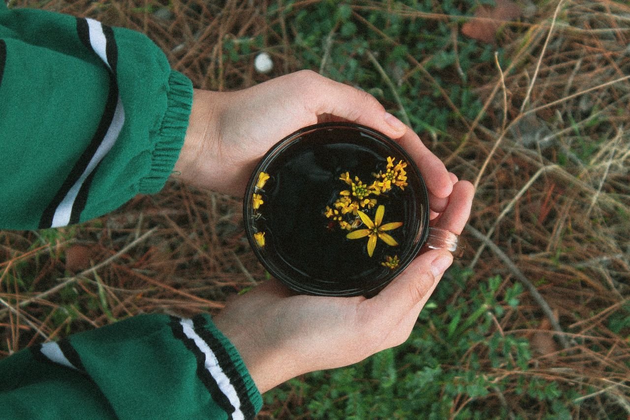 Hands holding a teacup with yellow flowers in it, surrounded by grass and pine needles.